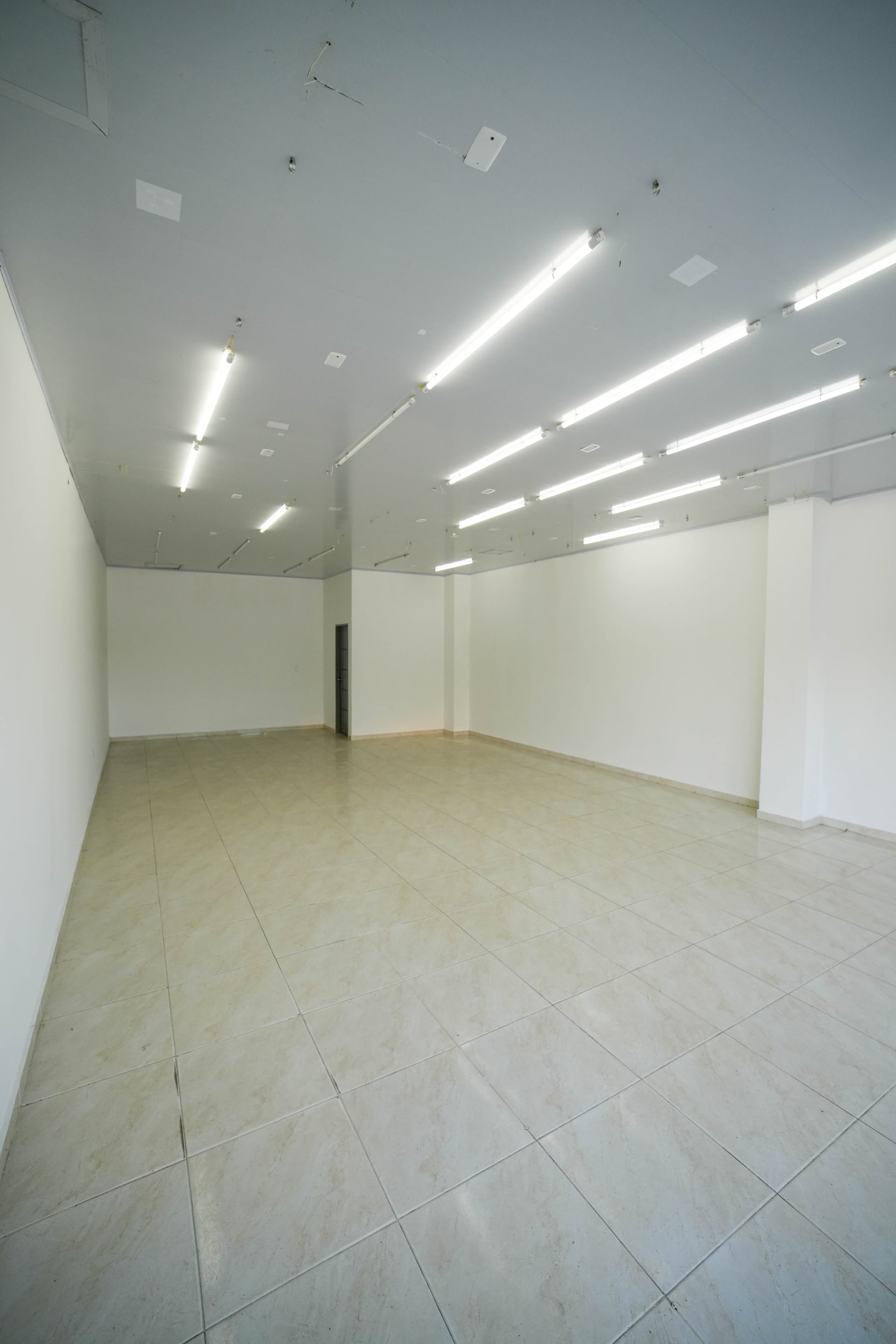 Local en Arriendo- Santa Catalina - Bolivar - 4