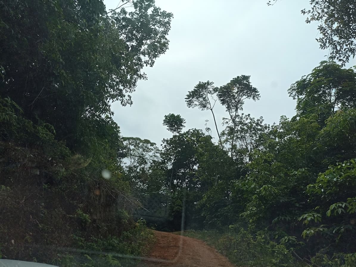 FINCA en Gestion - TARAZÁ, ANTIOQUIA
