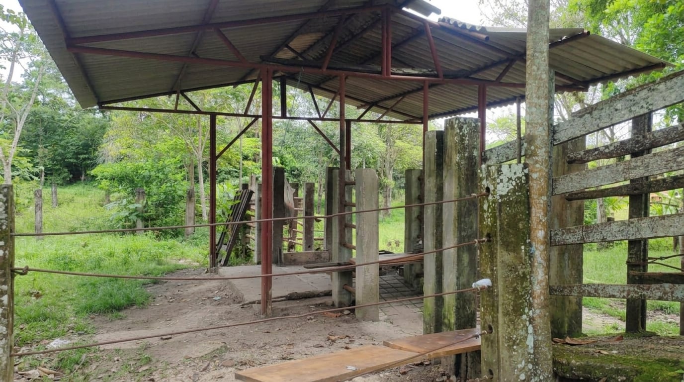FINCA en Gestion - PUERTO PARRA, SANTANDER - 2
