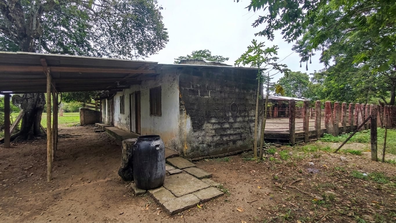 FINCA en Gestion - TARAZÁ, ANTIOQUIA - 23