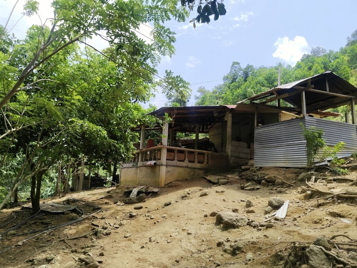 FINCA en Gestion - TARAZÁ, ANTIOQUIA - 4