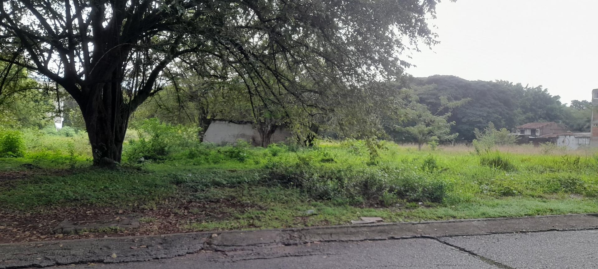 Lote en venta - Cali - 6