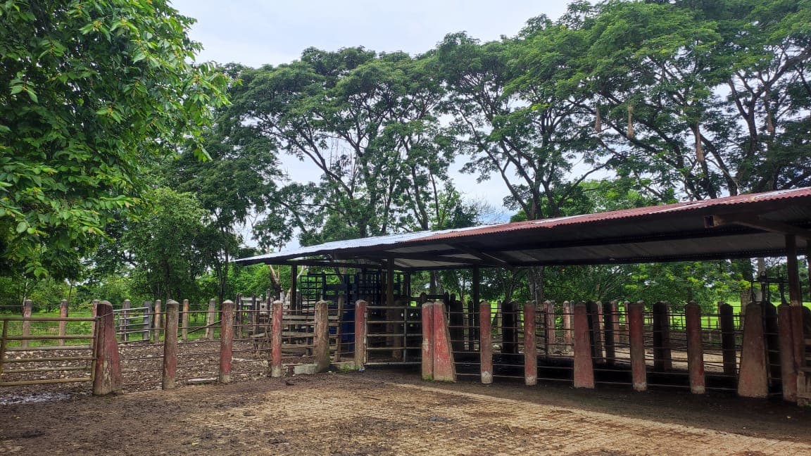 FINCA en Gestion - TARAZÁ, ANTIOQUIA