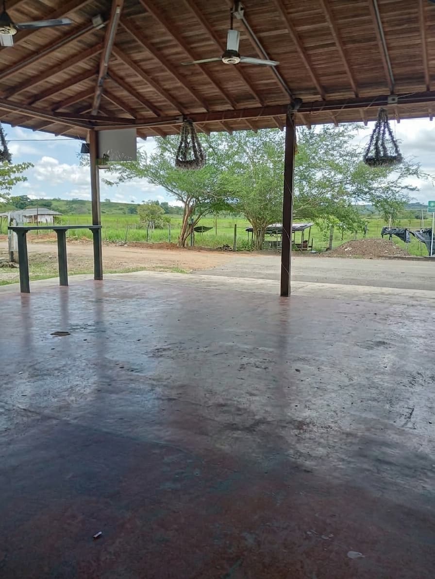 FINCA en Gestion - TARAZÁ, ANTIOQUIA