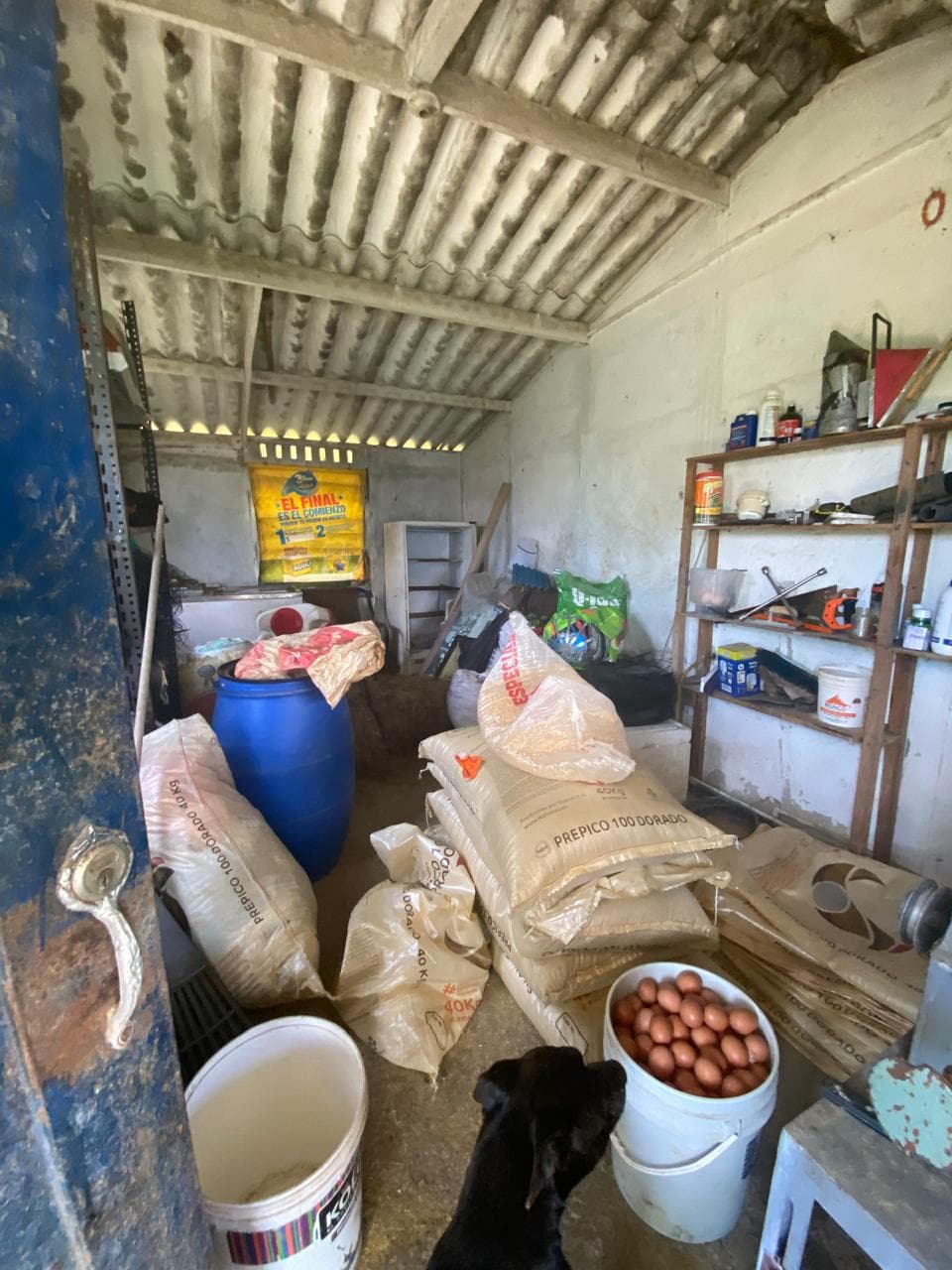 FINCA en Gestion - COPACABANA, ANTIOQUIA