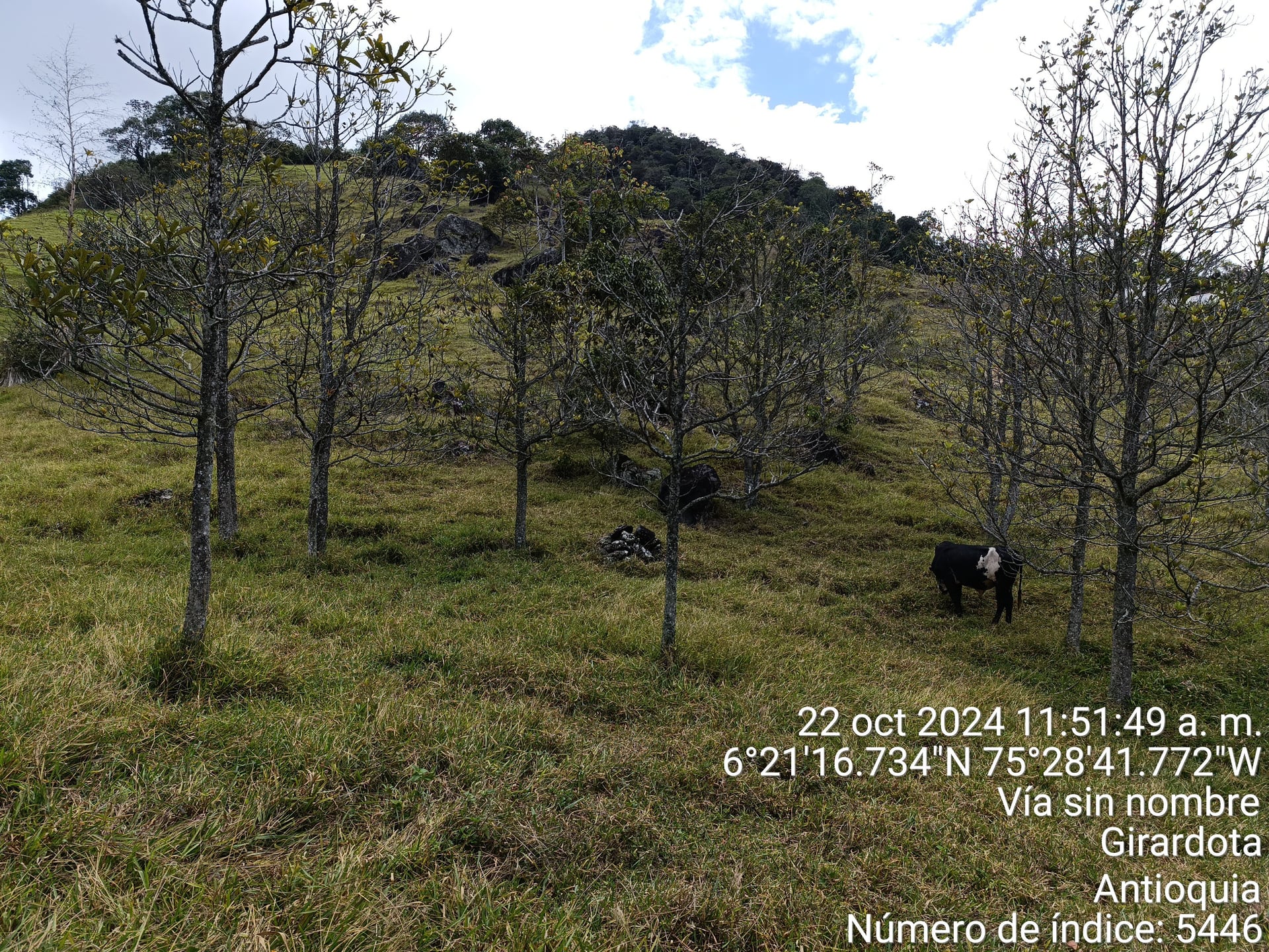 LOTE en Gestion - COPACABANA, ANTIOQUIA - 3