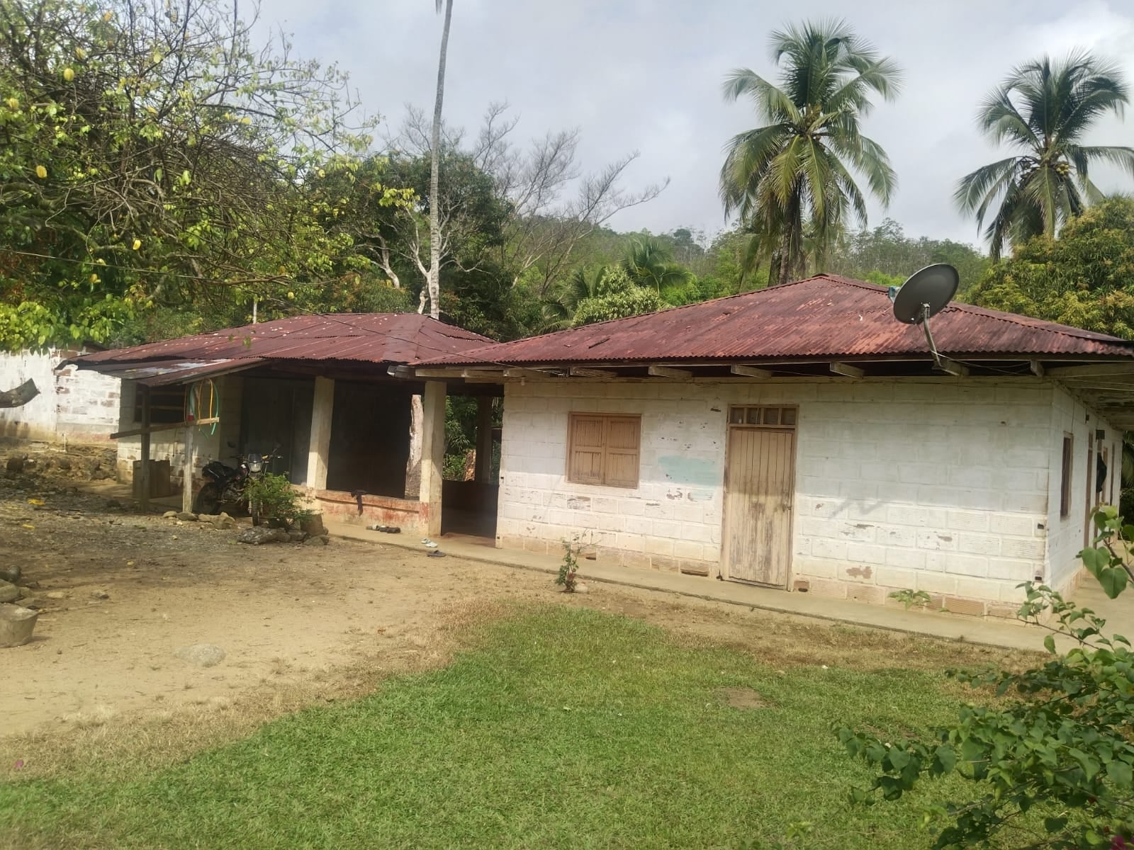FINCA en Gestion - TARAZÁ, ANTIOQUIA - 1